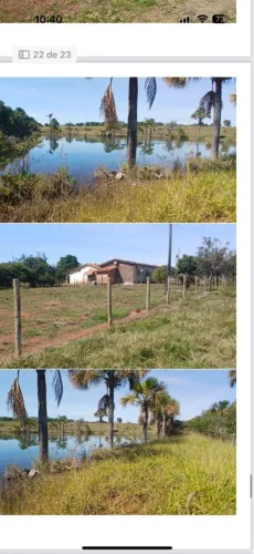 Fazenda dupla aptidão município de campina verde