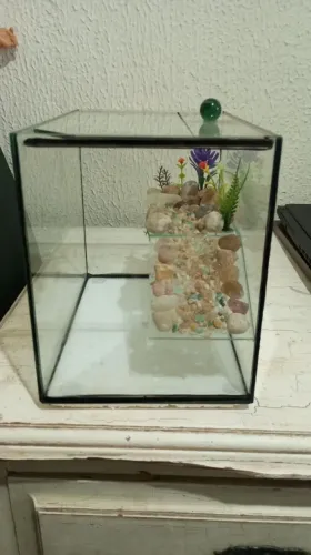 Aquário de Vidro para Peixes/ Tartaruga 