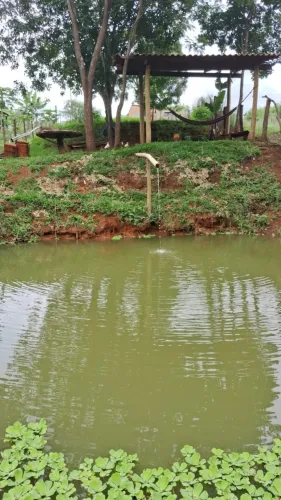 Chácara em Bonfinópolis 5000m2 só R$ 400 mil 