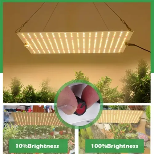 Painel de Luz LED para cultivo indoor