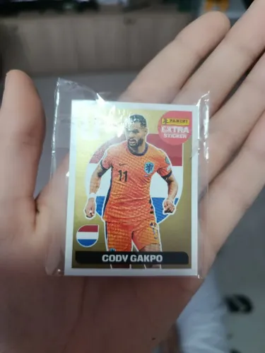 FIGURINHA DE OURO DA COPA DO MUNDO DE 2026 EM PERFEITO ESTADO. 1 A CADA 1900 PACOTINHOS