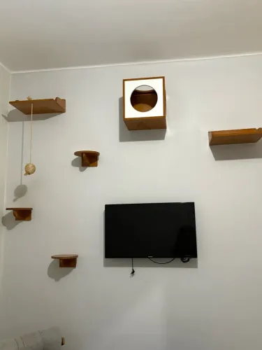 Para gatos