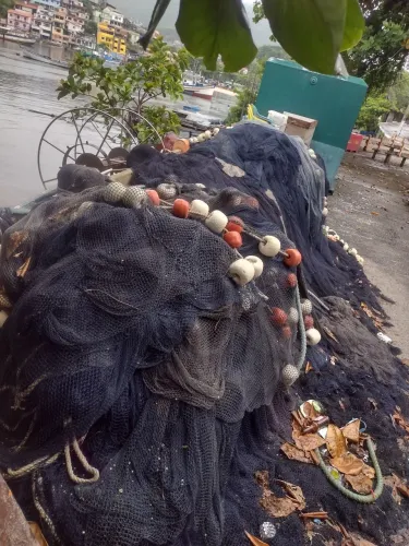 Material de pesca traineira