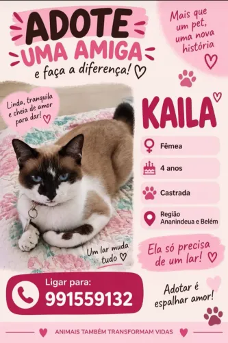 Doação