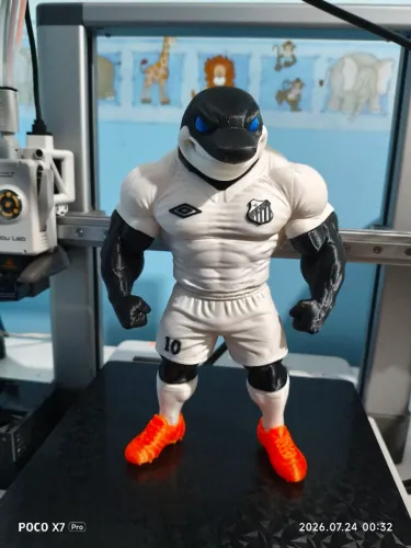 Baleião Santos FC