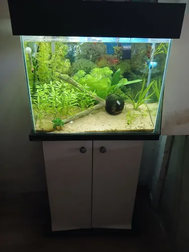 Aquário 80 L