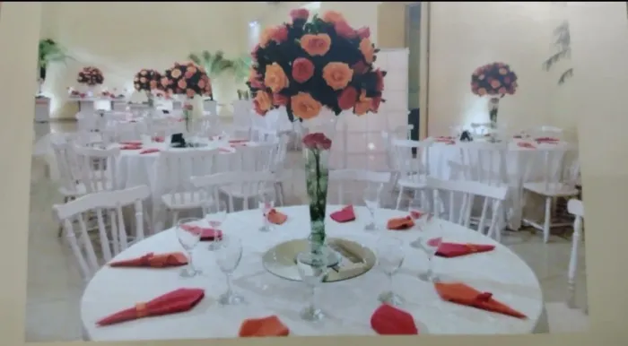 Vendo materiais Decoração festa casamento buffet evento