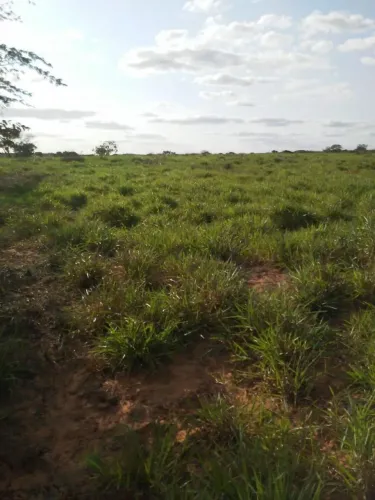 Fazenda Biritinga