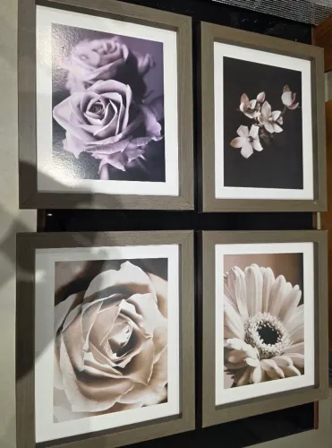 Quadros de flores em excelente estado. Só vendo os 4 no lote.