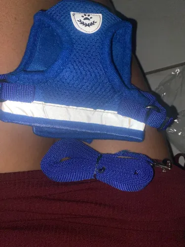 Colera de cachorro azul nova 