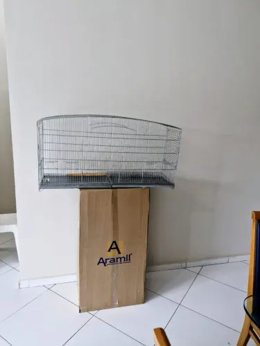 Voador trinca ferro