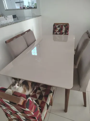 Mesa com 6 cadeiras