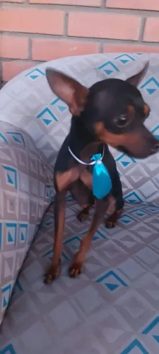 Doação