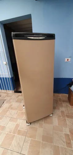 Venda de freezer PROSDÓCIMO 210 litros