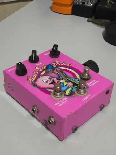 Pedal MG Music That's Echo Folks (Usado)