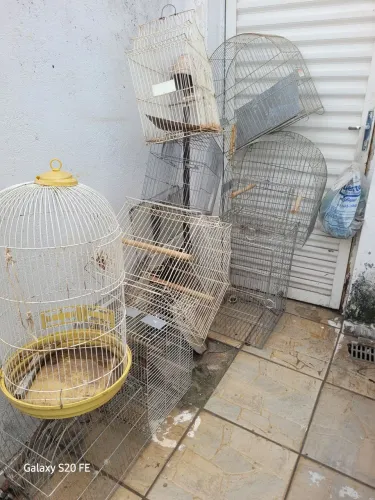 Vários tipos de gaiolas!!