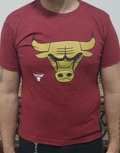 Camiseta Chicago Bulls original/oficial 66 M NBA