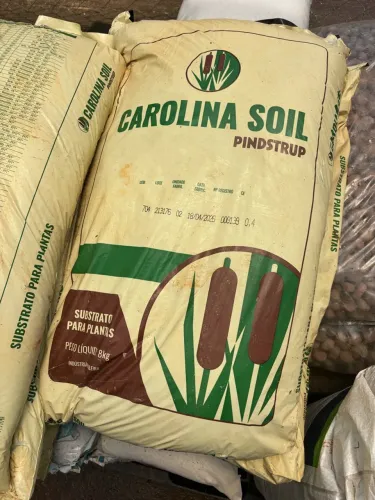 Substrato Carolina soil