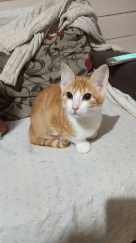 Doação desta Princesa