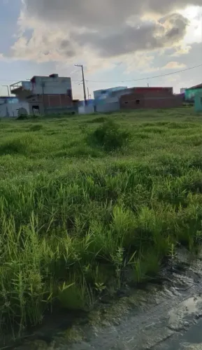 Terreno 8x20 - Montadas PB