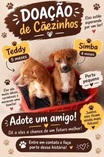 Doação de cachorrinhos macho porte pequeno