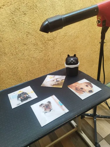 Secador profissional Pet Shop