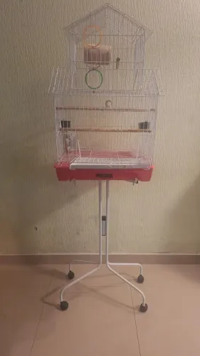 Gaiola para kalopsita