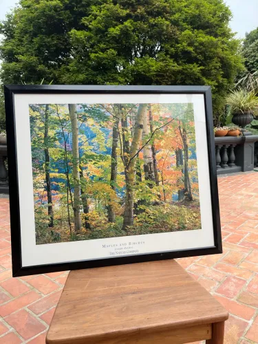 Quadro