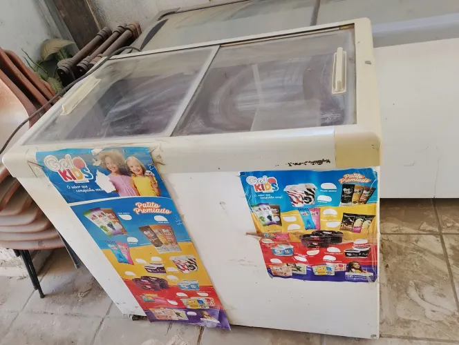 Freezer 530 litros 110 v (R$ 2,800), freezer 300 litros 220v (R$ 1,800)