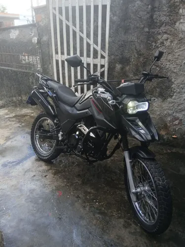 Shineray 175