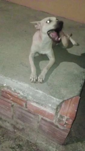 Doação