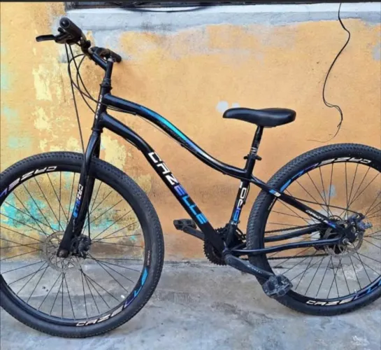 BIKE ARO 29
