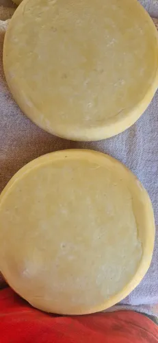 Queijo meia cura 