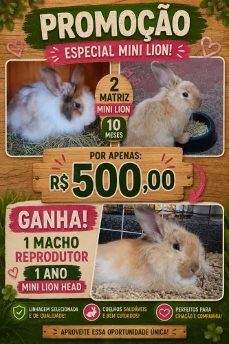 Matriz mini Lion
