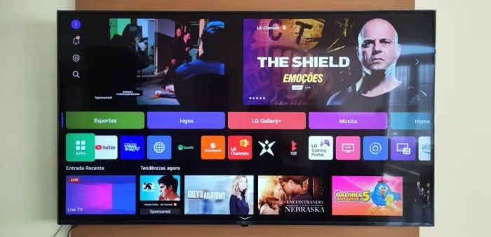Smart TV LG WEB OS 55pol