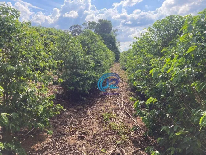 Sítio com 3 dormitórios à venda, 30000 m² por R$ 750.000 - Zona Rural - Santo Antônio do J