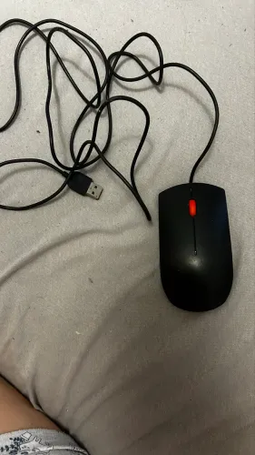 Mouse Lenovo