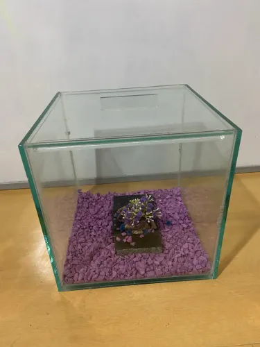 Vendo aquário 26x26