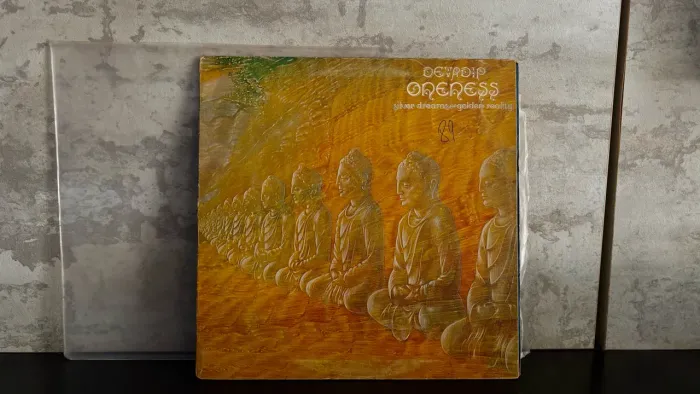 álbum solo Oneness (Silver Dreams ~ Golden Reality)