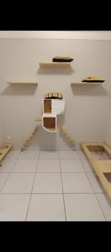 Nicho para gatos