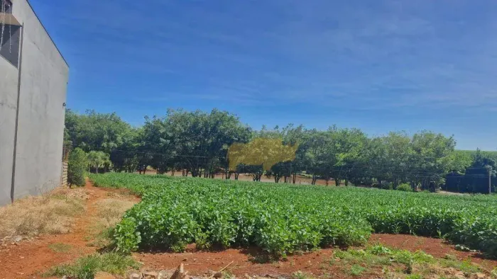 Terreno à venda, 100 m² por R$ 70.000,00 - Engenho Velho - Cordeirópolis/SP