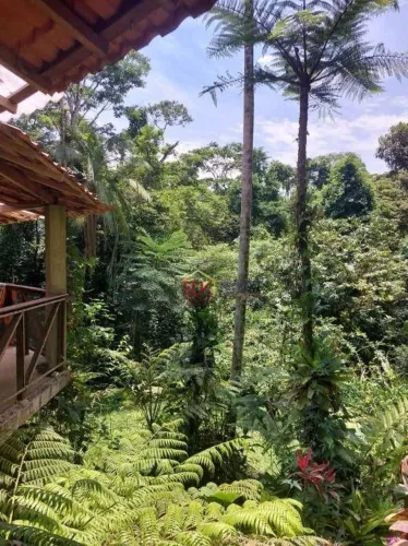 Chácara com 3 dormitórios à venda, 135 m² por R$ 2.332.000,00 - Almada - Ubatuba/SP