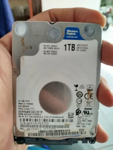HD 1TB western digital original pra notbook
