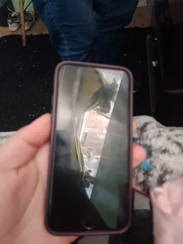 Celulares para tirar peças