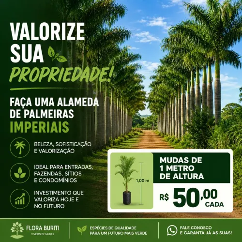Palmeiras para fazer alamedas