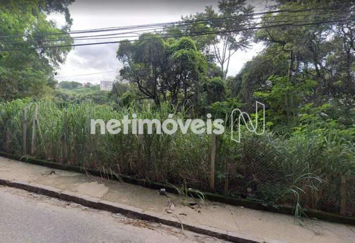 Venda Lote-Área-Terreno Coração de Jesus Belo Horizonte