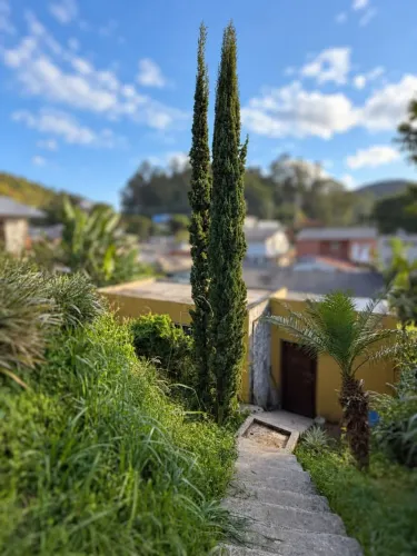 Plantas