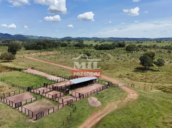 Fazenda 110 Alqueires (534 hectares) Crixás - GO