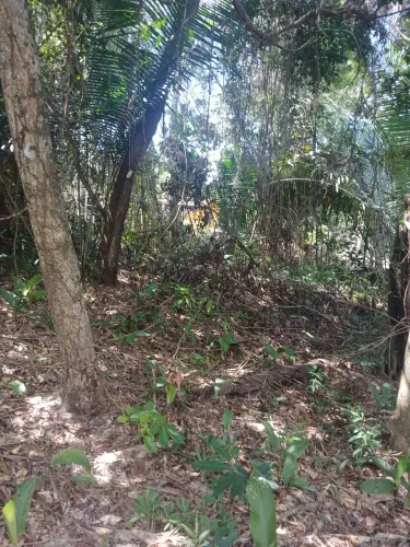 Terreno medindo 20x100