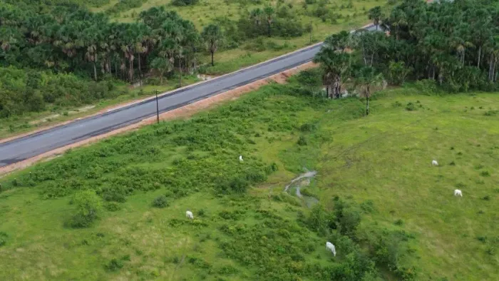 Baixou R$ 8 Milhões fazenda de 733 hectares para Pecuária fica a 250 km de Belém